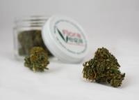 Inyo Fine Cannabis Dispensary image 3